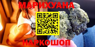 сатива Камышлов