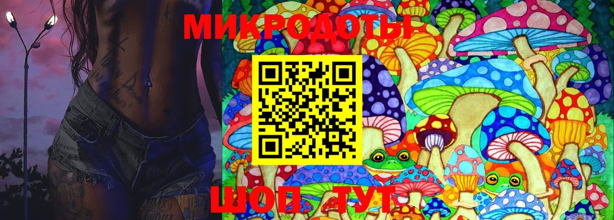 Псилоцибиновые грибы Cubensis Лениногорск