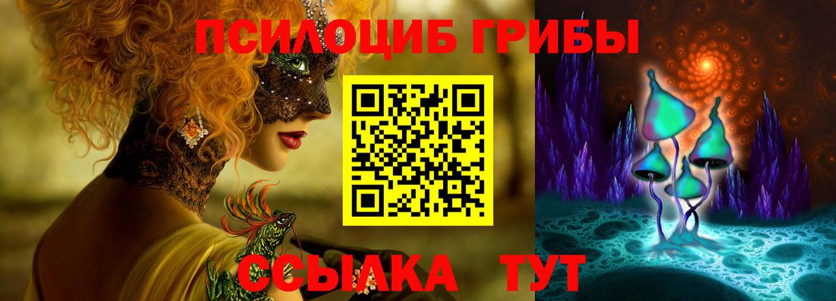 Псилоцибиновые грибы Magic Shrooms  Псилоцибиновые грибы Cubensis  Вход с VPN  Лениногорск 